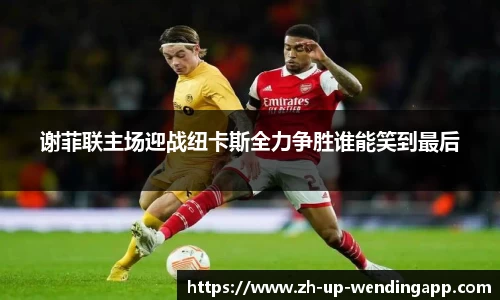 问鼎娱乐